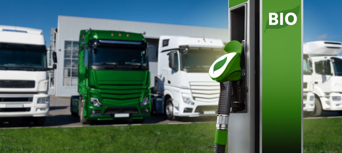 Tir